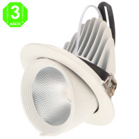 Foco Downlight Led orientable TRACK 30W [AL4132LM]