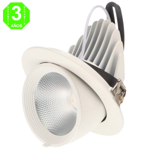 Foco Downlight Led orientable TRACK 30W [AL4132LM]