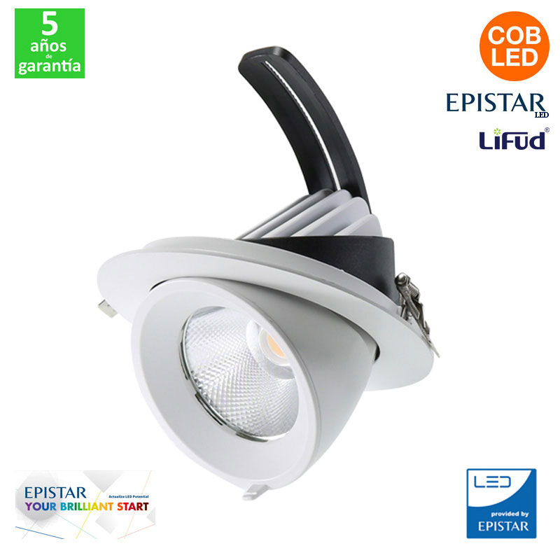 Foco Downlight Led Basculante y giratorio TRACK 30W IP20 UGR 19 Epistar Cob Driver Lifud [ALLM4134-LF]