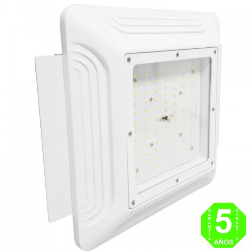 Foco Luminaria LED Empotrable Especial Gasolineras Doseles 100W 130LmW [WR-CP100-E]