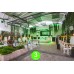 Proyector LED COB SPOT 50 5 RGBWA DMX 50W [28MAR060AL]